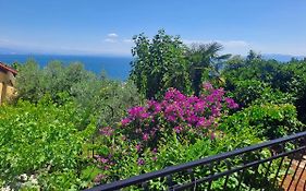 Apartment Camelia